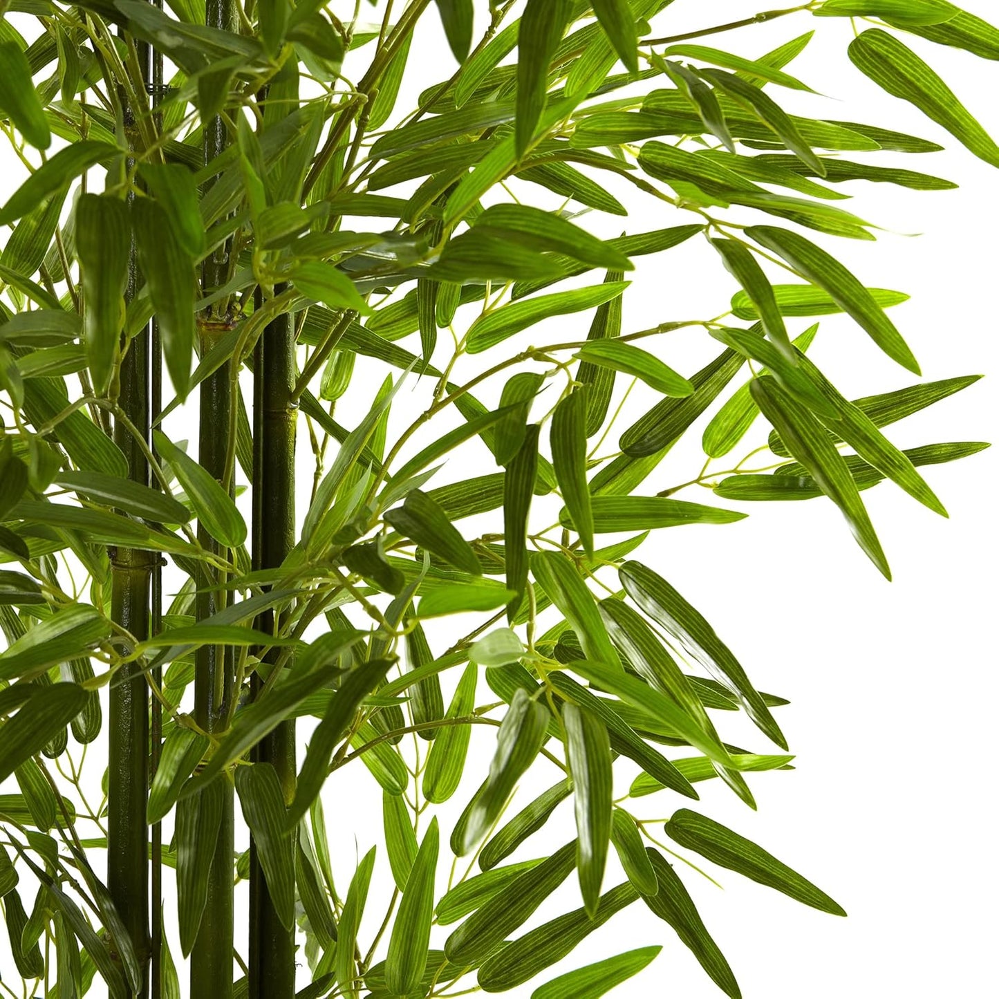 5ft. Bamboo Tree UV Resistant (Indoor/Outdoor)