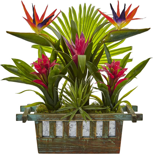 Bird of Paradise and Bromeliad in Planter