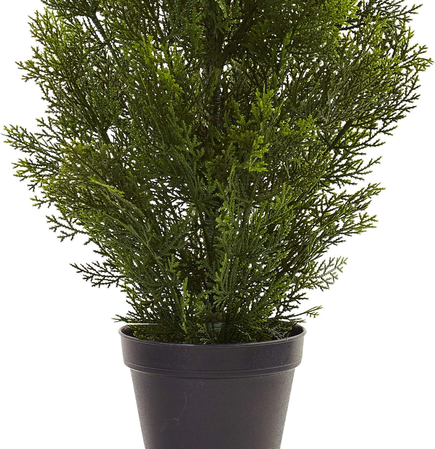 3ft. Mini Cedar Pine Tree (Indoor/Outdoor)