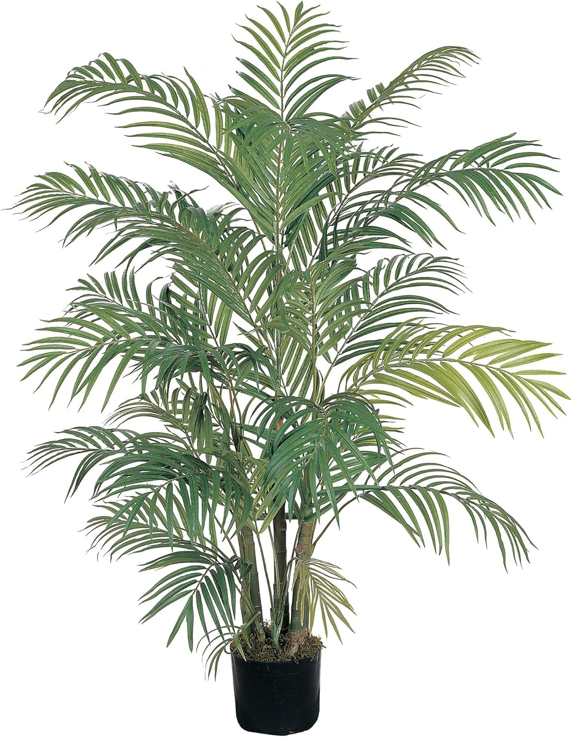 3ft. Areca Silk Palm Tree No50