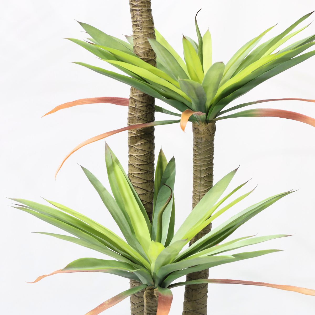 Pianta di Drago Artificiale (Corn Plant) 180cm con 3 Tronchi, Pianta Finta Tropicale in Vaso per Decorazione Ufficio e Casa Natale