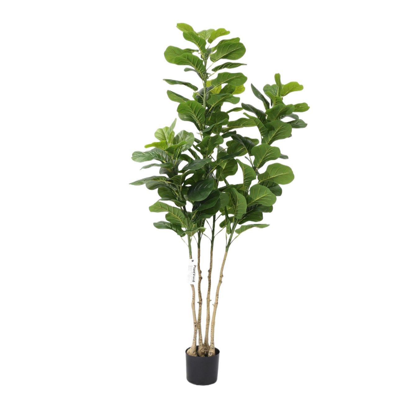 170cm Faux Tree Ficus microcarpa Potted Artificial Plant
