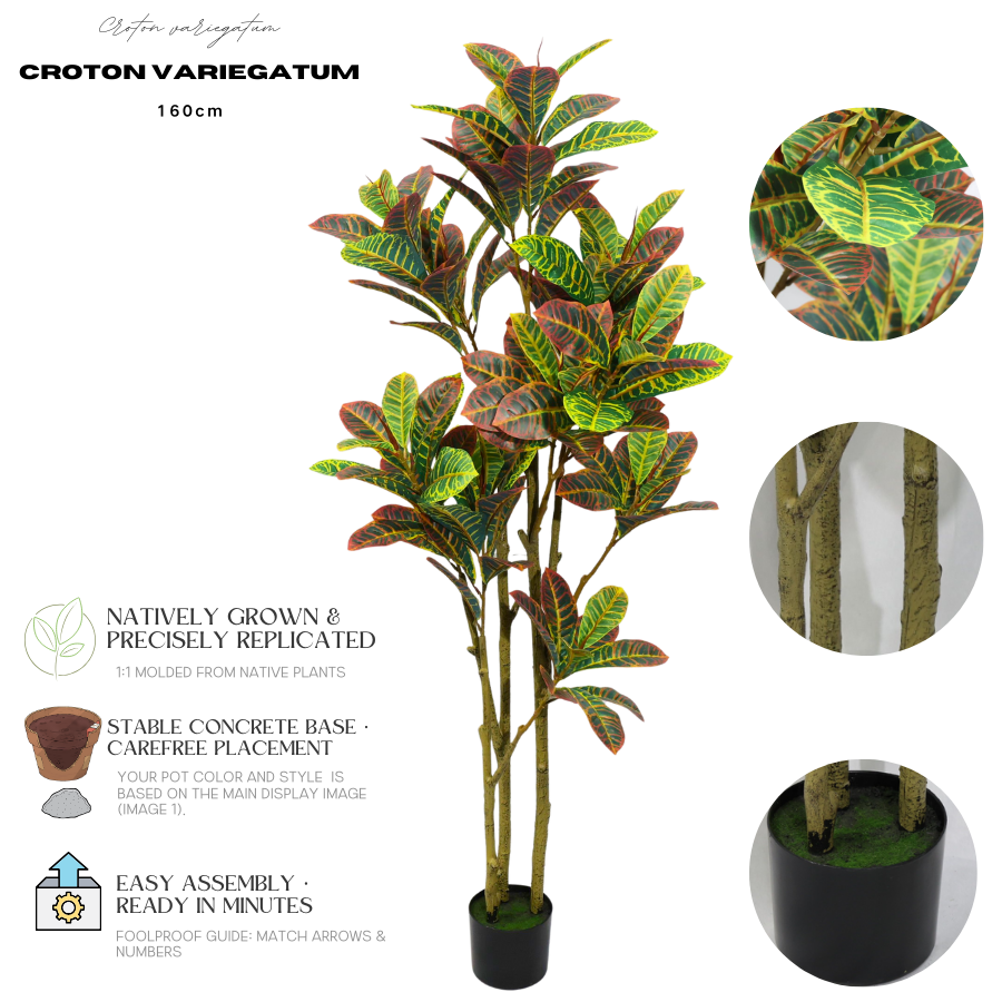 Ficus Pandurata (Croton) Artificiale 160cm con Foglie Variegate, Albero Finta in Vaso per Decorazione Casa e Negozio Natale