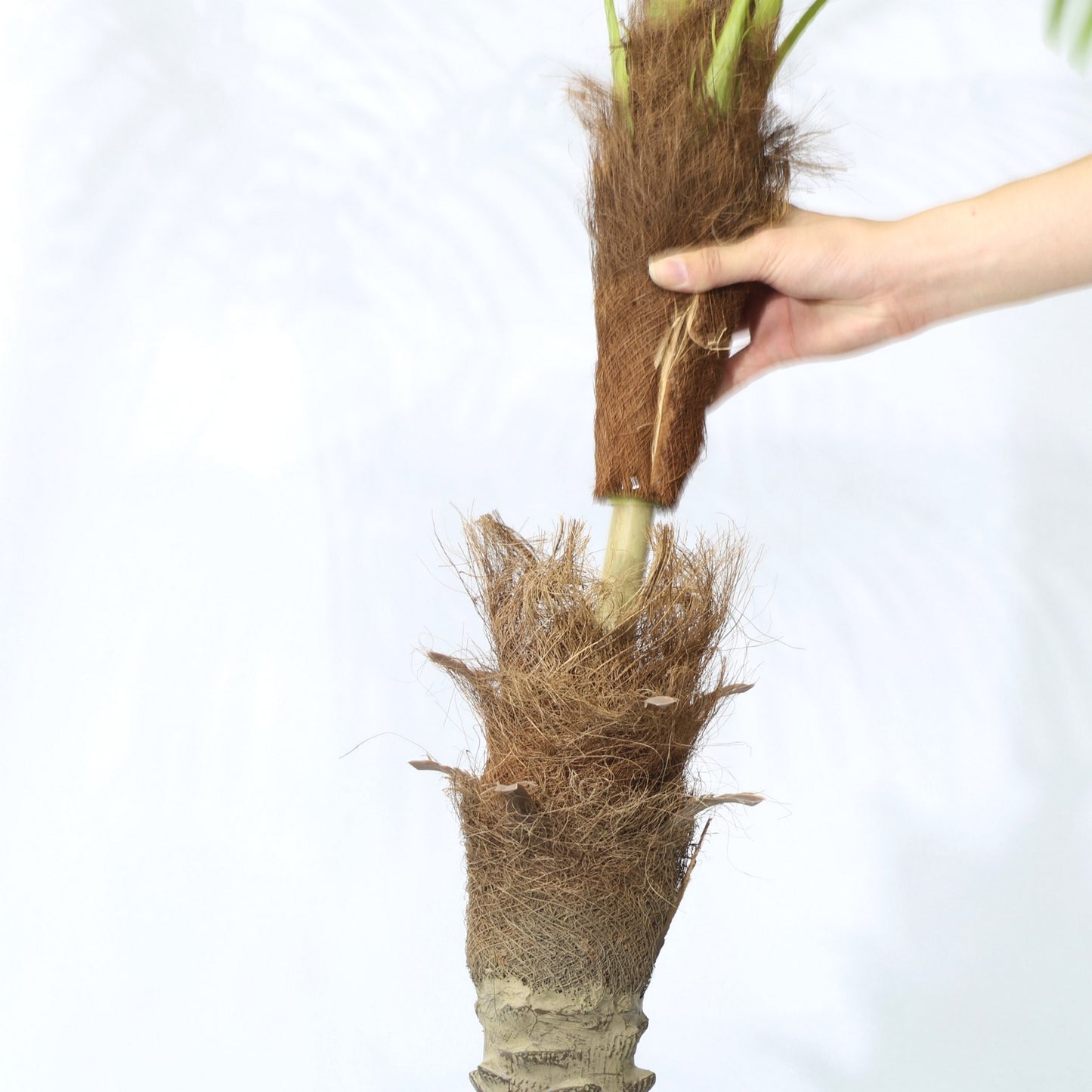 120cm Faux Potted Tree Tropical Palm Tree Detachable Artificial Plant