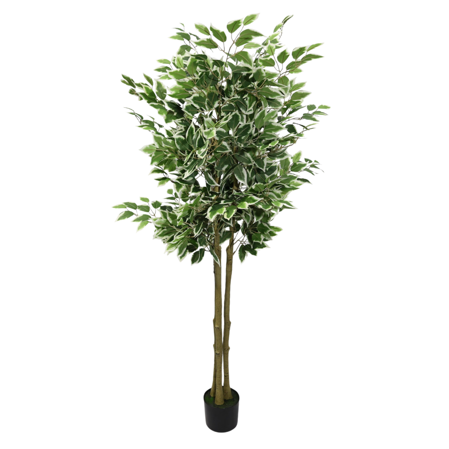 Αφαιρούμενος Τεχνητός Φίκος Μπανιάν 170cm, Μοντέρνο Ψεύτικο Φυτό με Λευκές-Πράσινες Άκρες