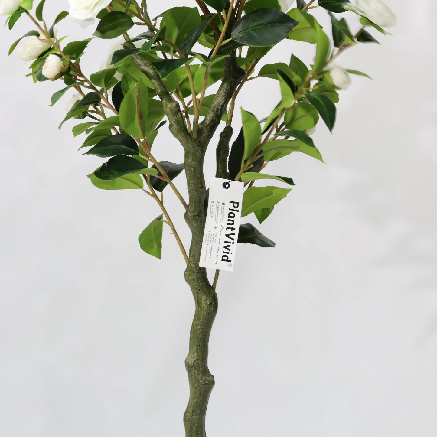 150cm Artificial Camellia Tree White Blooms Non-Detachable Faux Plant