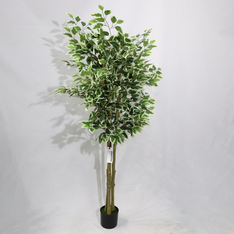 Ficus Banyan Artificiale Smontabile 170cm, Pianta Finta Moderna con Foglie Borde Bianco-Verde per Decorazione Casa Ufficio Natale