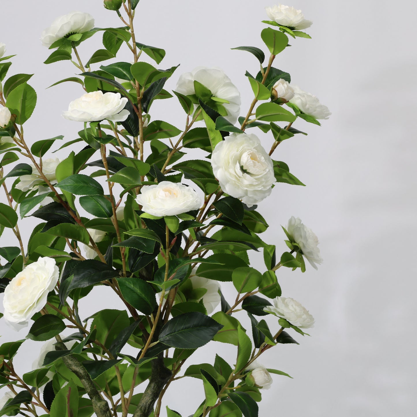 150cm Artificial Camellia Tree White Blooms Non-Detachable Faux Plant