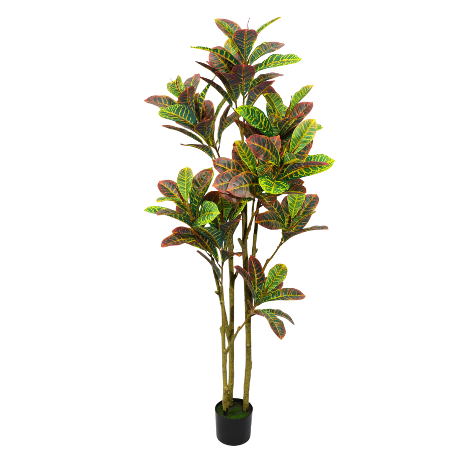Ficus Pandurata (Croton) Artificiale 160cm con Foglie Variegate, Albero Finta in Vaso per Decorazione Casa e Negozio Natale