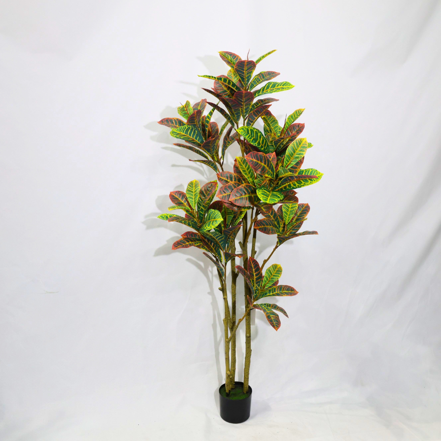 Ficus Pandurata (Croton) Artificiale 160cm con Foglie Variegate, Albero Finta in Vaso per Decorazione Casa e Negozio Natale
