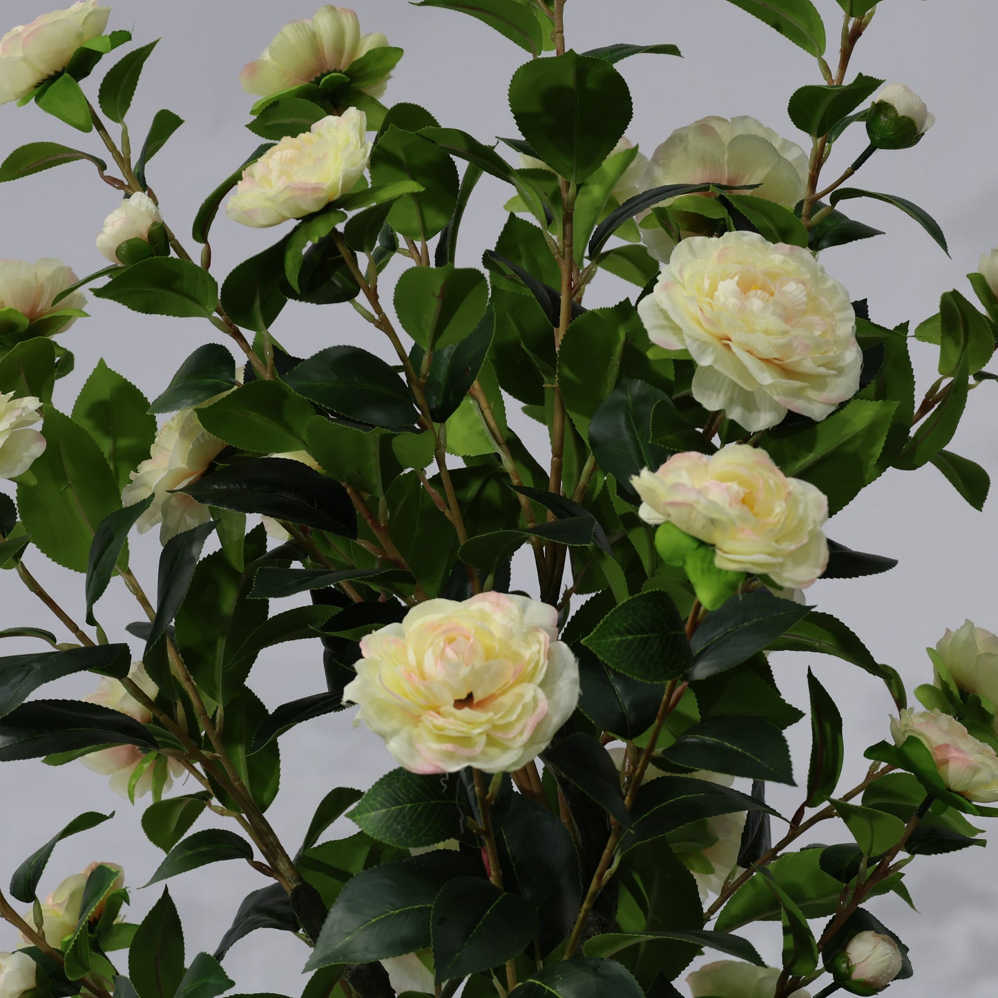 150cm Single-Stem Camellia Tree Champagne Blossoms Fixed Realistic Artificial Plant