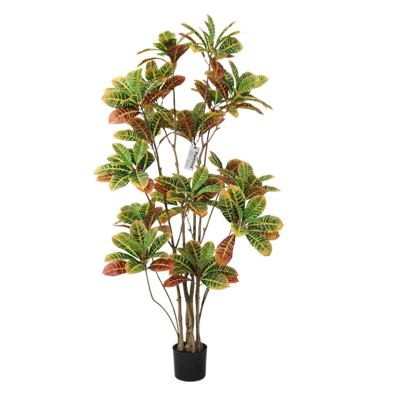 160cm Variegated Artificial Croton Plant fake tree for decoration