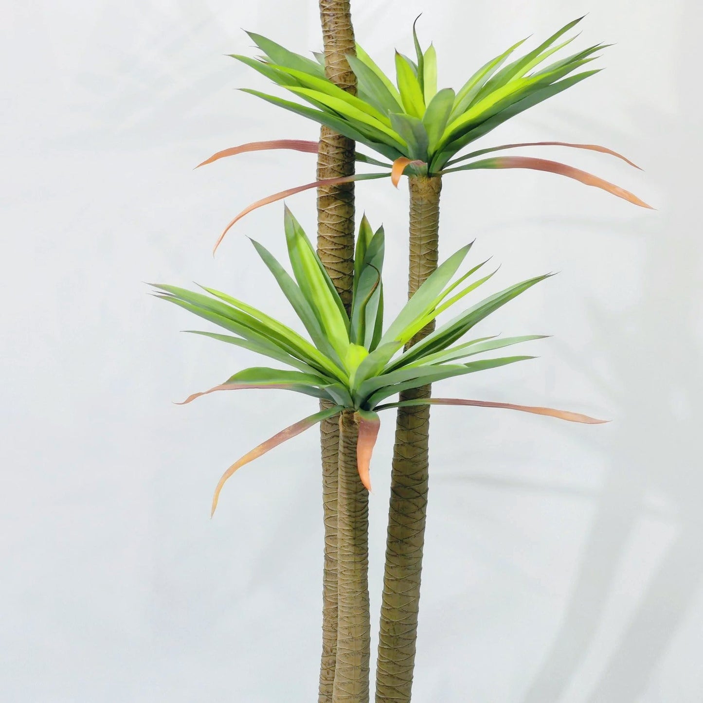 Pianta di Drago Artificiale (Corn Plant) 180cm con 3 Tronchi, Pianta Finta Tropicale in Vaso per Decorazione Ufficio e Casa Natale