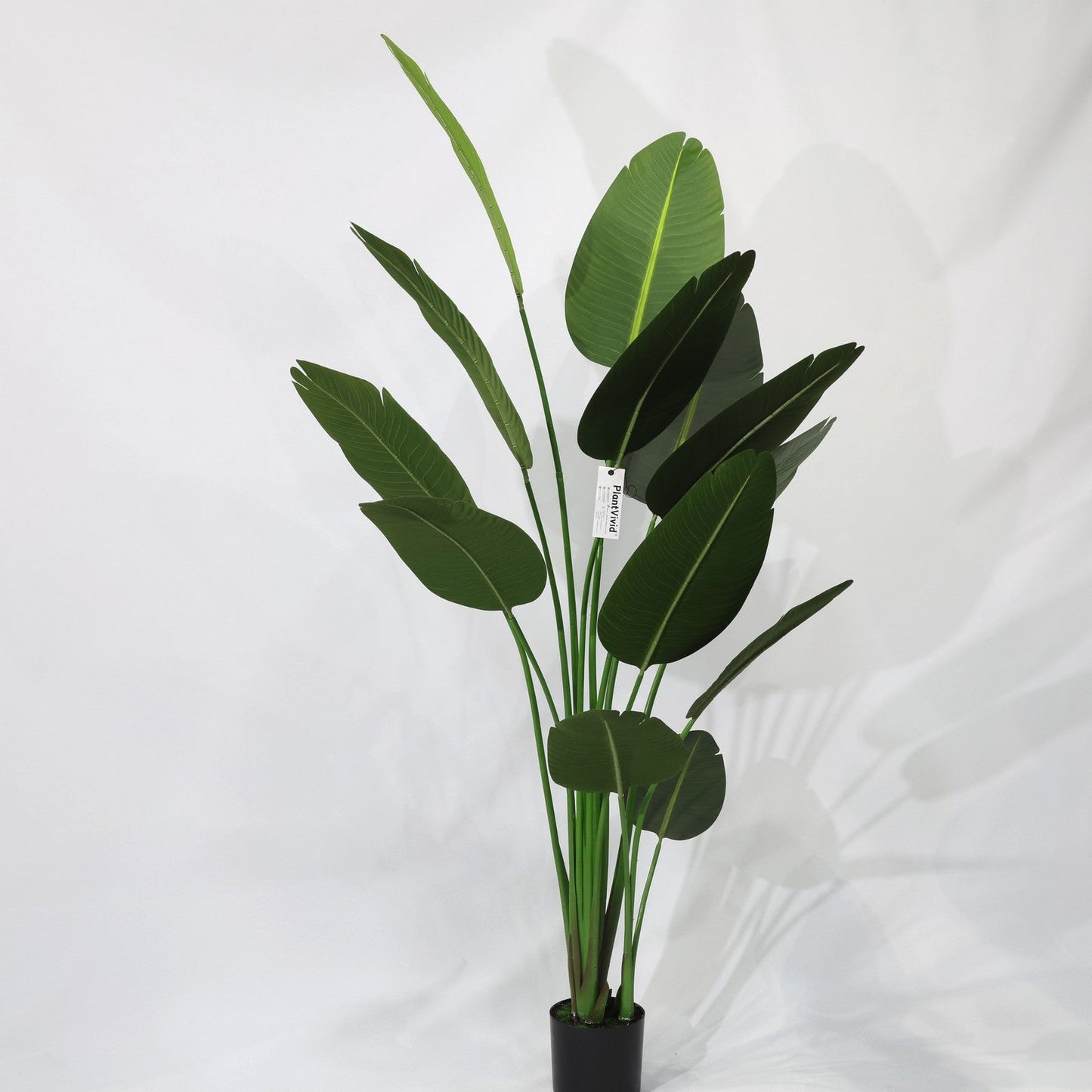 Τεχνητή Strelitzia Reginae 180cm με μεγάλα σκούρα πράσινα φύλλα, αφαιρούμενο τροπικό ψεύτικο δέντρο χριστουγεννιάτικες διακοσμήσεις καταστημάτων