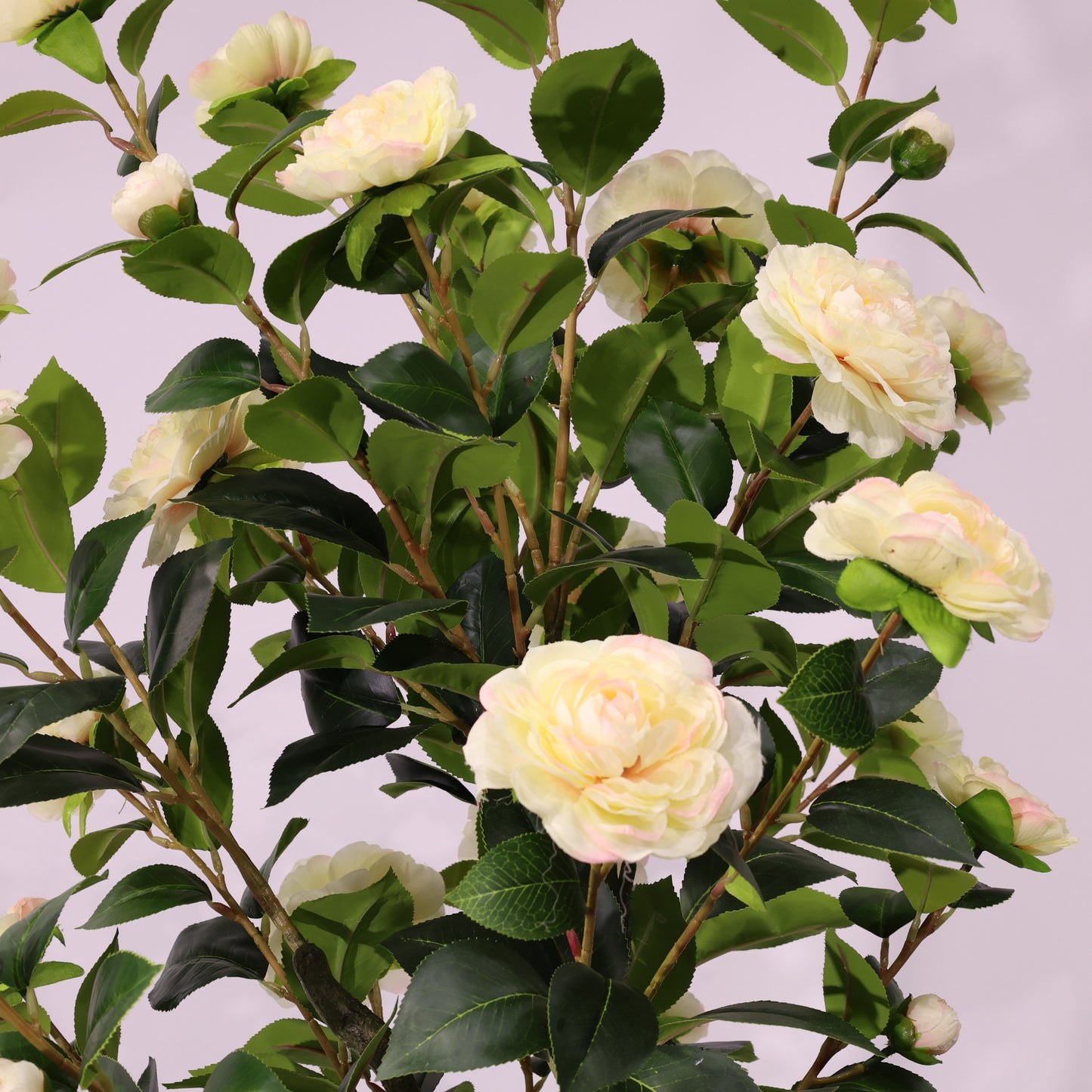 150cm Single-Stem Camellia Tree Champagne Blossoms Fixed Realistic Artificial Plant