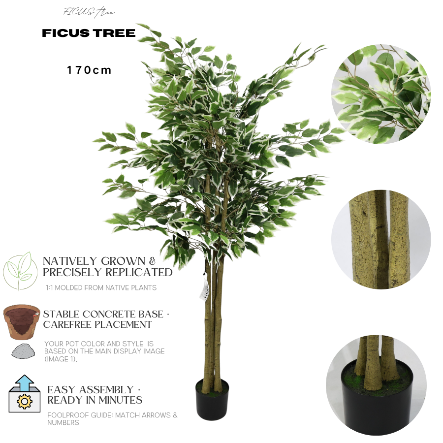 Αφαιρούμενος Τεχνητός Φίκος Μπανιάν 170cm, Μοντέρνο Ψεύτικο Φυτό με Λευκές-Πράσινες Άκρες