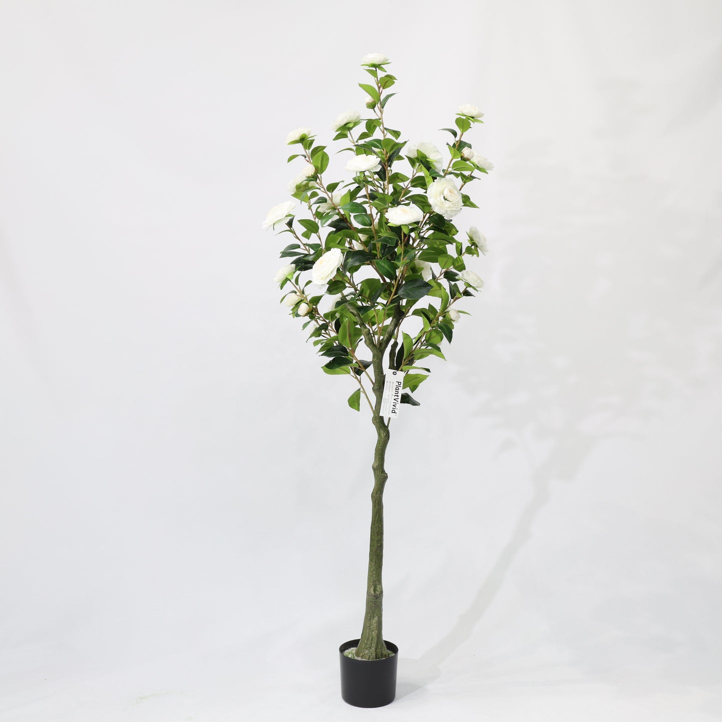 150cm Artificial Camellia Tree White Blooms Non-Detachable Faux Plant
