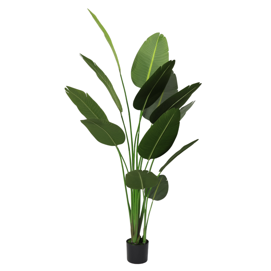 Τεχνητή Strelitzia Reginae 180cm με μεγάλα σκούρα πράσινα φύλλα, αφαιρούμενο τροπικό ψεύτικο δέντρο χριστουγεννιάτικες διακοσμήσεις καταστημάτων