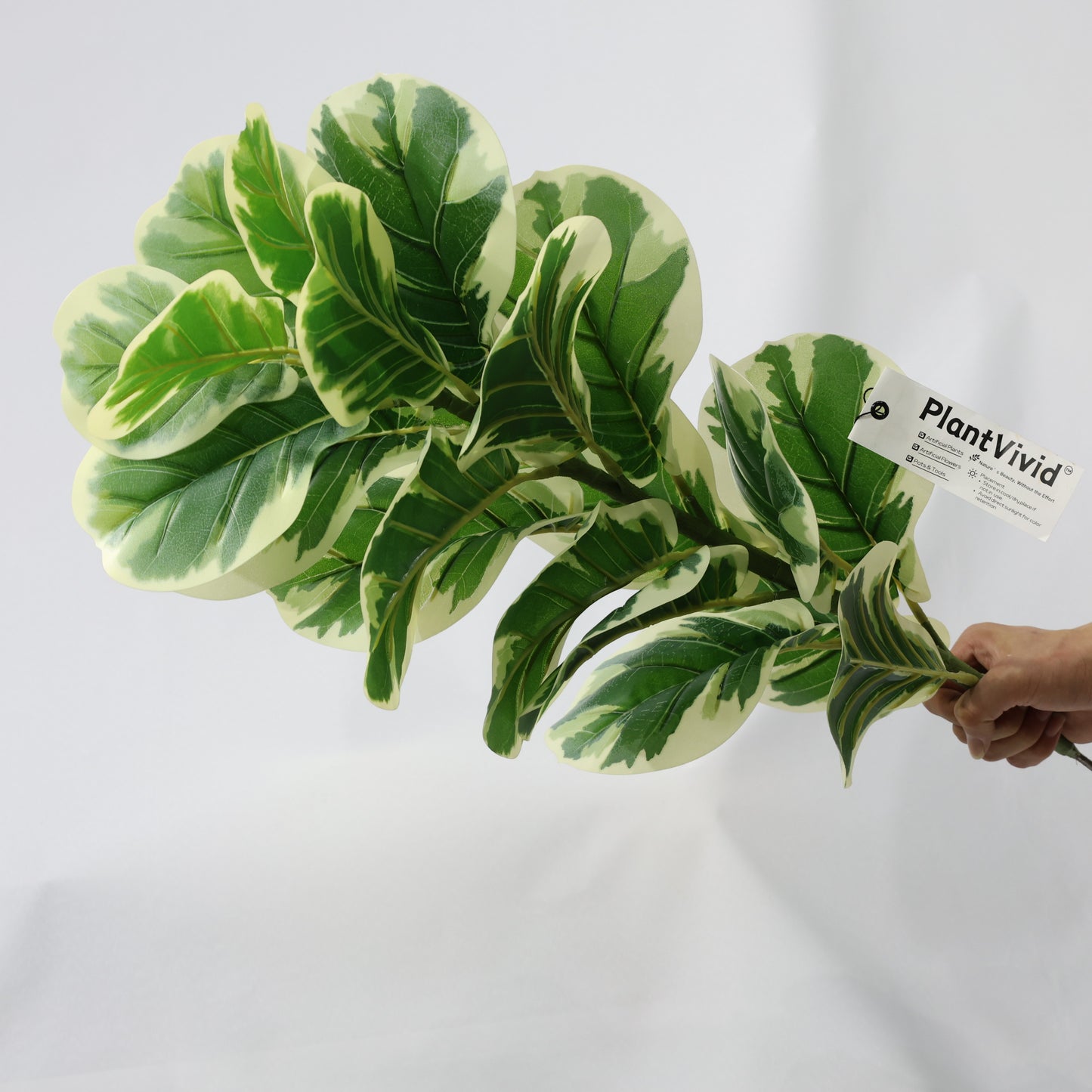 76cm Artificial Fiddle Leaf Fig White-Edged Lifelike Leaves Faux Plant