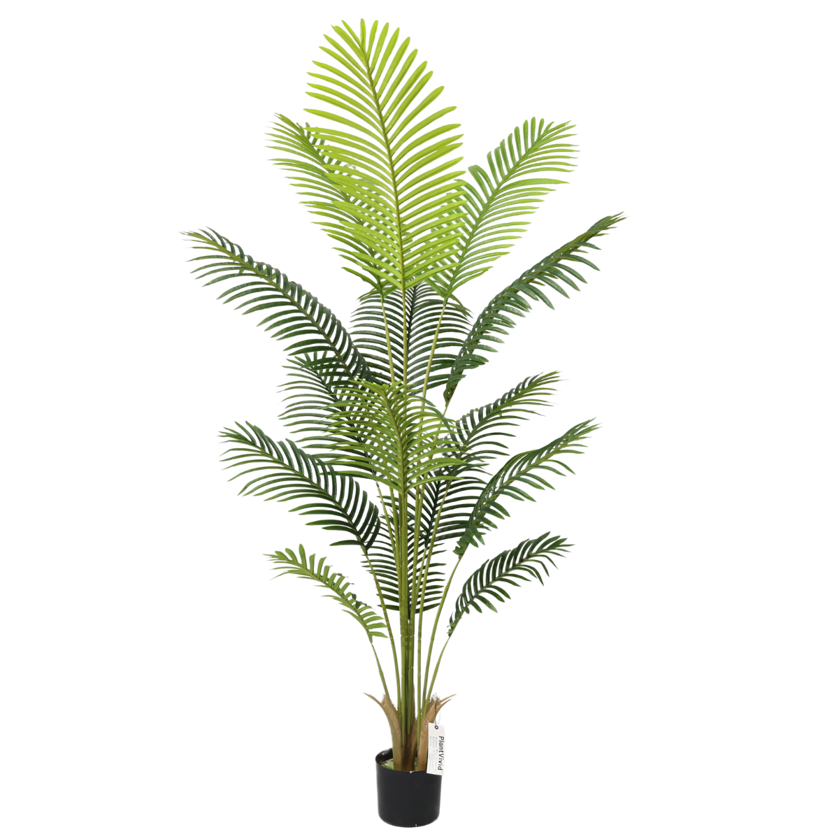 Τεχνητός φοίνικας Areca 180cm με 15 πράσινα φύλλα, ψεύτικο δέντρο τον κήπο του