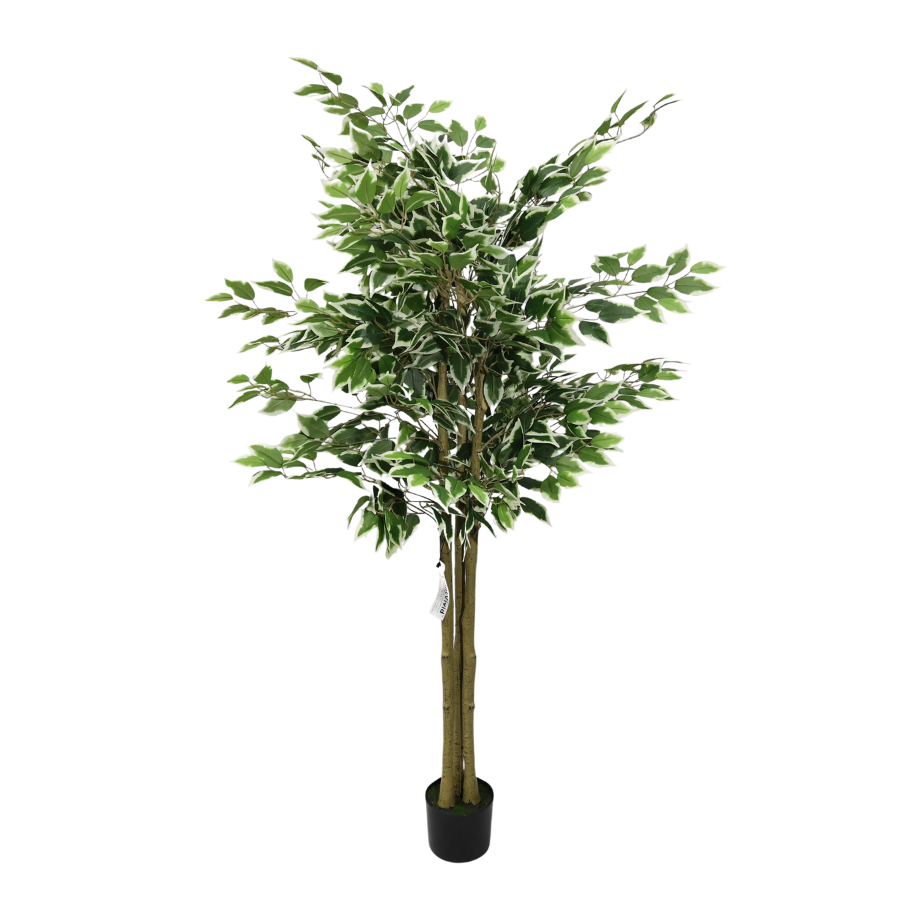 Αφαιρούμενος Τεχνητός Φίκος Μπανιάν 170cm, Μοντέρνο Ψεύτικο Φυτό με Λευκές-Πράσινες Άκρες