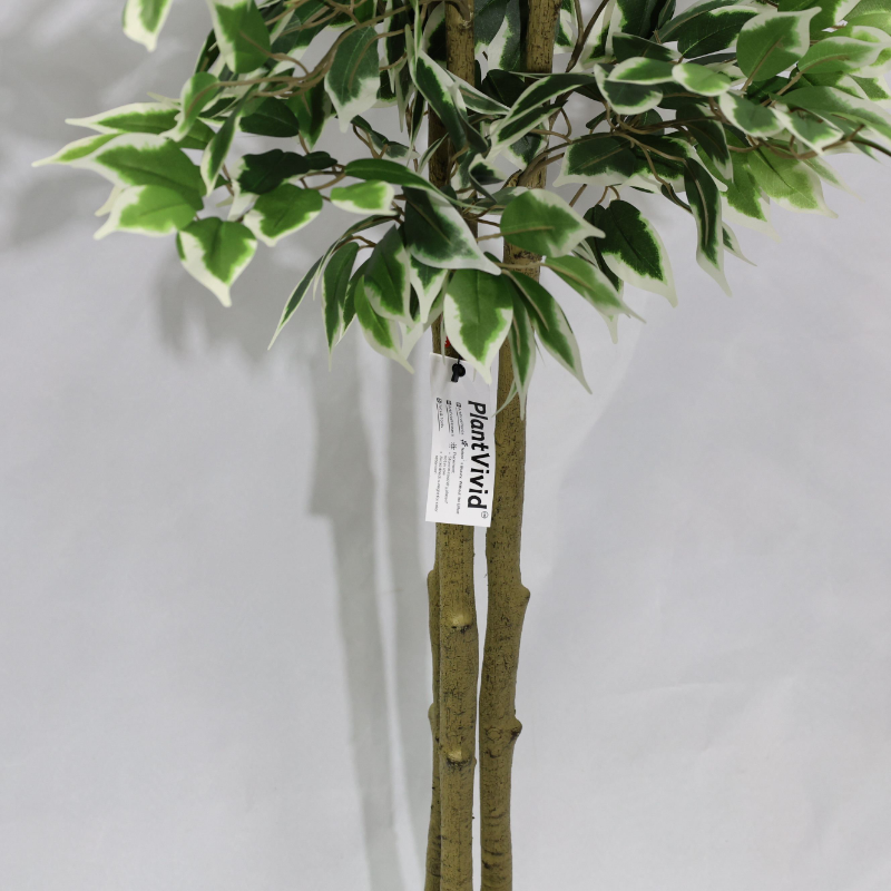 Αφαιρούμενος Τεχνητός Φίκος Μπανιάν 170cm, Μοντέρνο Ψεύτικο Φυτό με Λευκές-Πράσινες Άκρες
