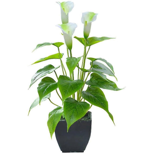 Elegant Calla Lily | 32cm Artificial Potted Plant