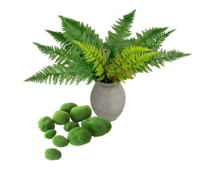 Ferns & Moss