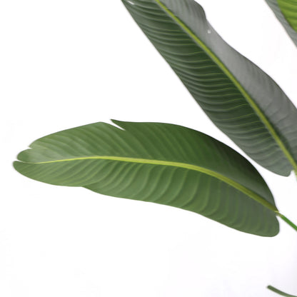 210cm Tropical Faux Leaf Detachable Artificial Travelers Palm Plant