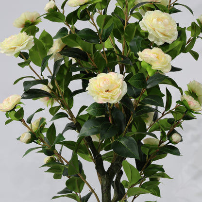 150cm Single-Stem Camellia Tree Champagne Blossoms Fixed Realistic Artificial Plant