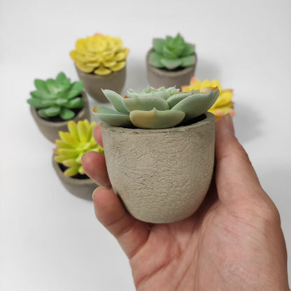 6pcs artificial Mini Succulent Potted Plants in Shatterproof Pulp Pots (6.5-8cm)