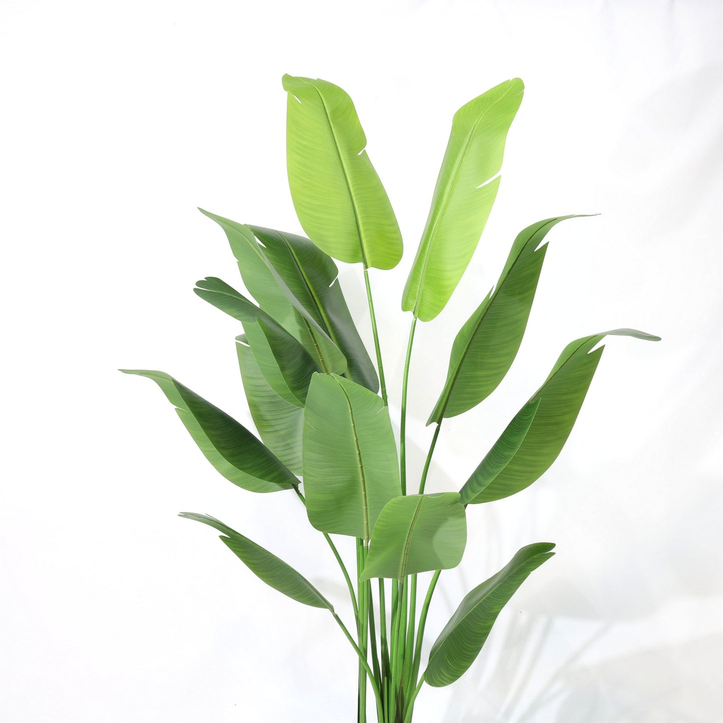 210cm Tropical Detachable Travelers Palm Classic Artificial Plant