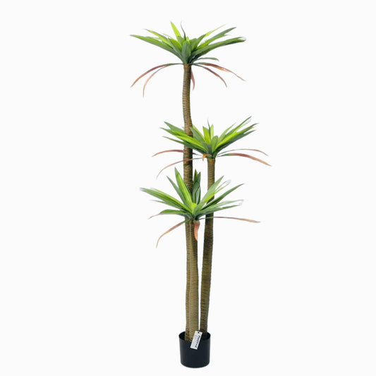 Pianta di Drago Artificiale (Corn Plant) 180cm con 3 Tronchi, Pianta Finta Tropicale in Vaso per Decorazione Ufficio e Casa Natale