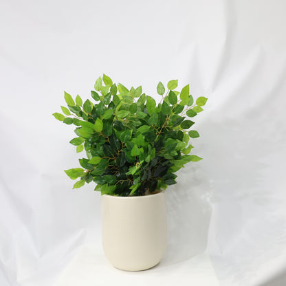 12 Pcs 55cm Artificial Ficus Leaves Stems Plastic Plant lifelike Leaf