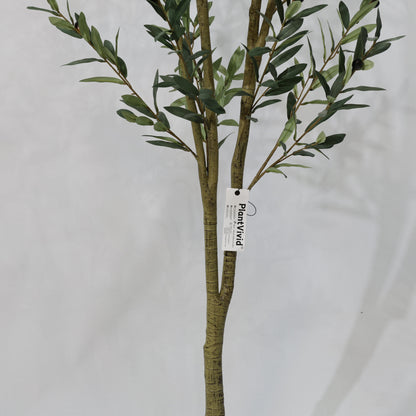 210cm Artificial Olive Tree Detachable Dual Branches - Realistic Foliage