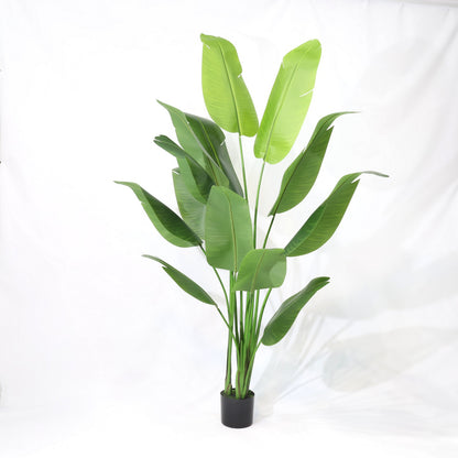 210cm Tropical Detachable Travelers Palm Classic Artificial Plant
