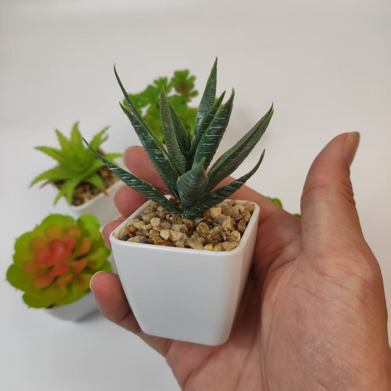 6 Pcs Artificial Succulent Plants in Plastic Pots, Mini Fake Succulents (5-8cm), Decorative Faux Succulent Arrangements for Home Office Desk Decor