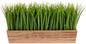 20in. Vanilla Grass Artificial Plant in Decorative Planter