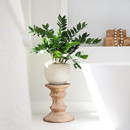 28in. Artificial Zamioculcas Plant with Decorative Planter