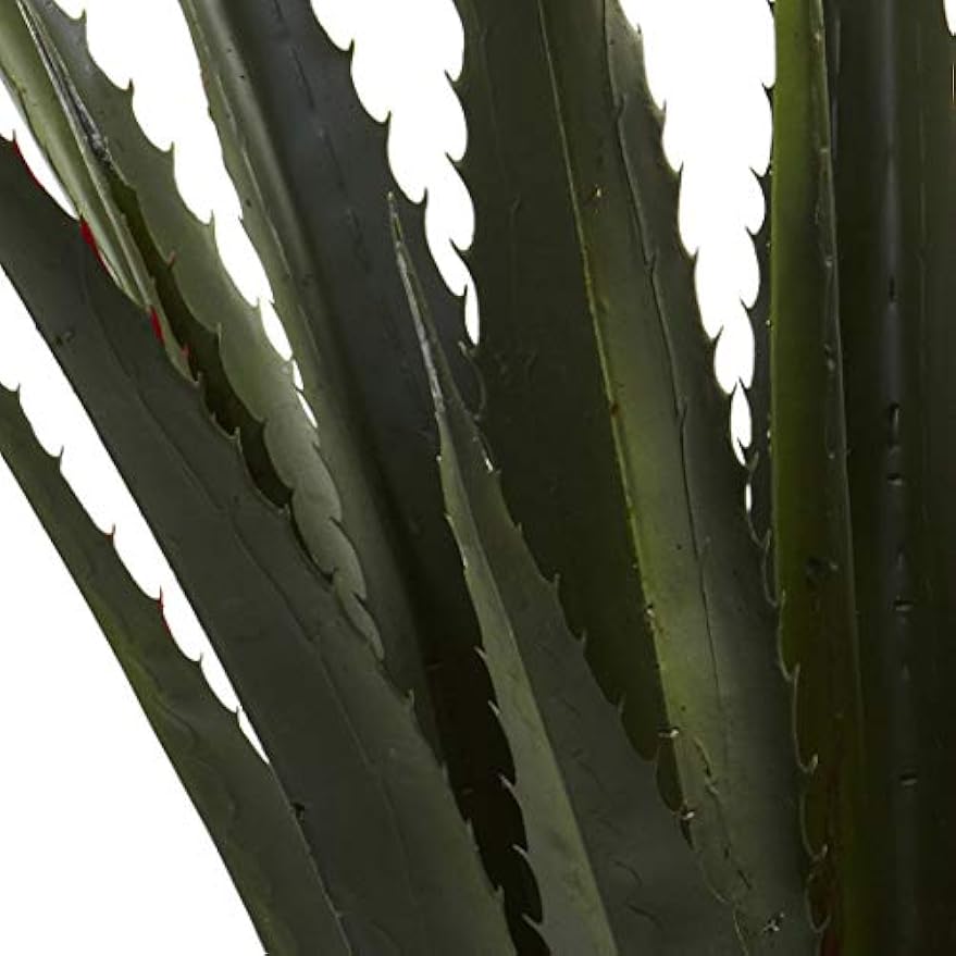 52in. Giant Agave Plant