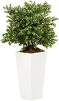 6383 Artificial Plant in White Sweet Grass in Tower Planter (Indoor/Outdoor), Green,17"Dx17"Wx33"H
