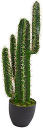 3' Cactus Artificial Plant, Green 2.5ft.