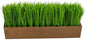 12in. Grass Artificial Plant in Decorative Planter