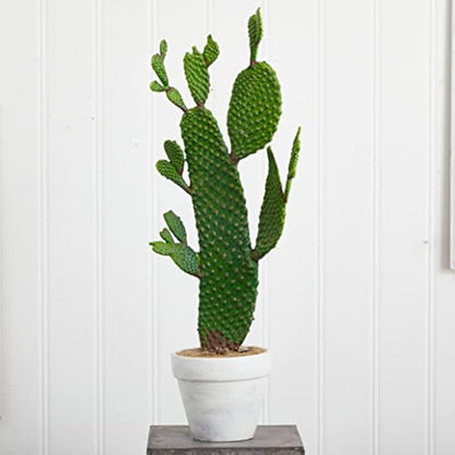 27in. Cactus Artificial Plant