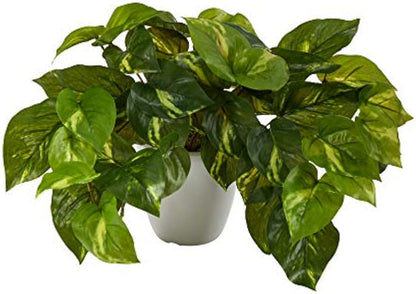 9in. Pothos Artificial Plant in White Planter (Real Touch)