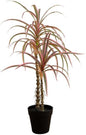 2ft. Artificial Dracaena Marginata Plant