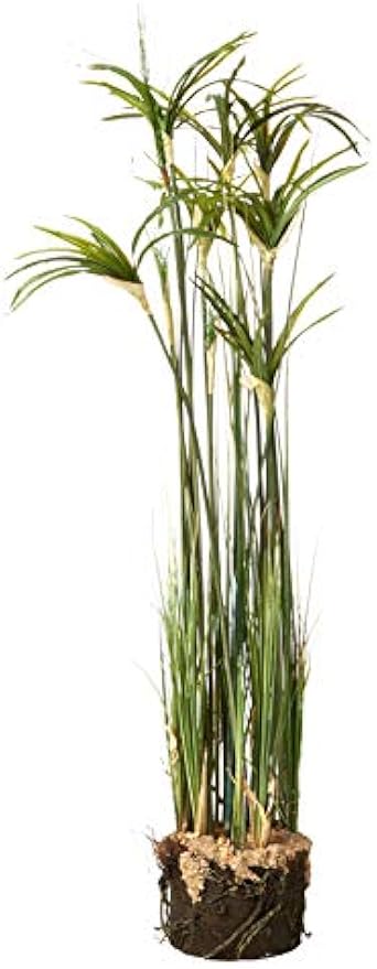Papyrus Plant with Faux Soil Arrangement