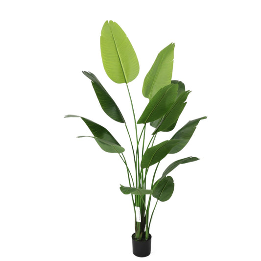 180cm Tropical Detachable Artificial Travelers Palm Plant