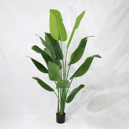 210cm Tropical Detachable Travelers Palm Classic Artificial Plant