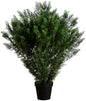 4-FT Artificial Cedar Bush, Indoor/Outdoor UV Resistant Faux Cedar Bush in Black Nursery for Front Porch Décor, Artificial Shrubs for O